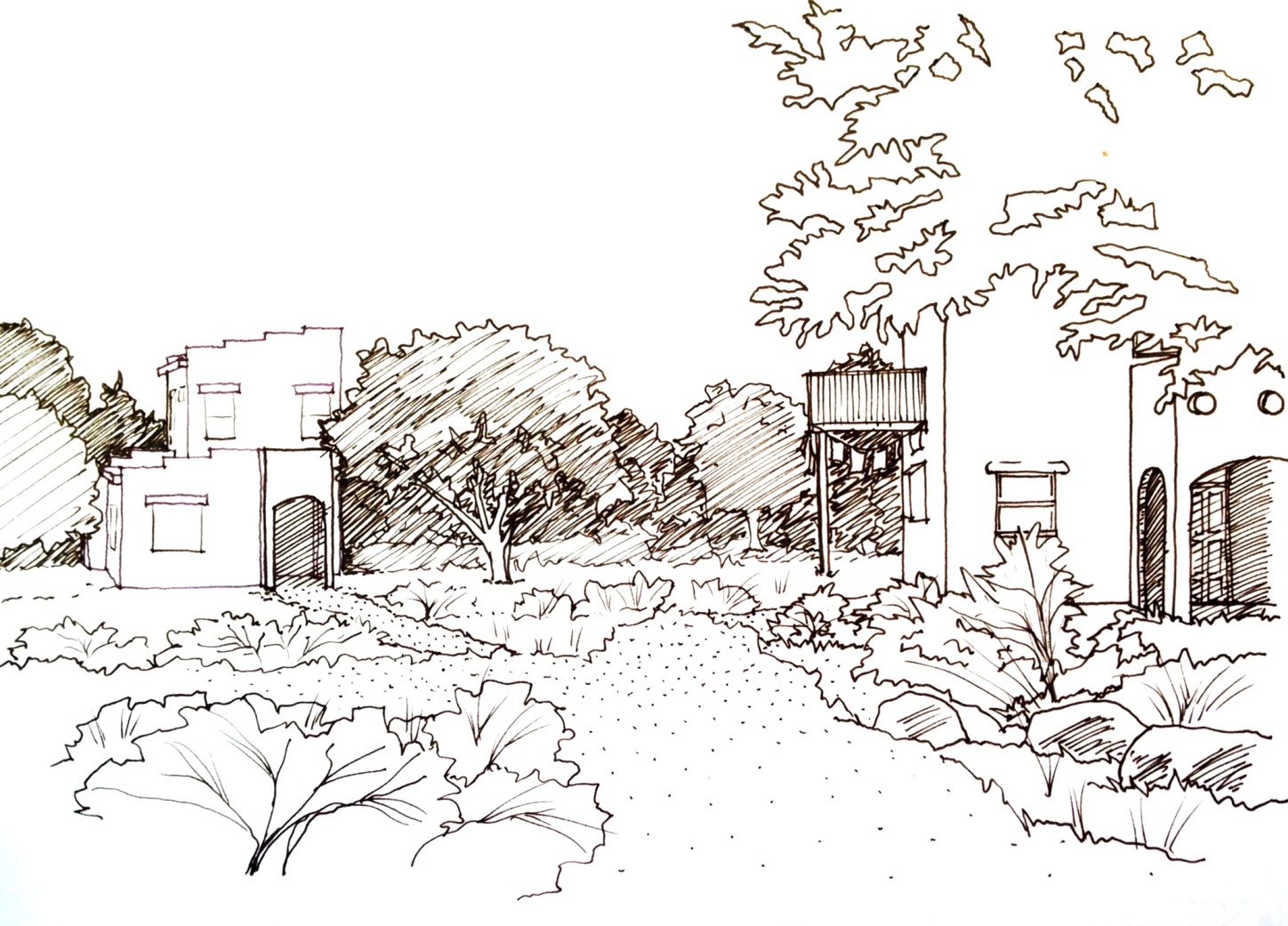 COBB B-W rendering