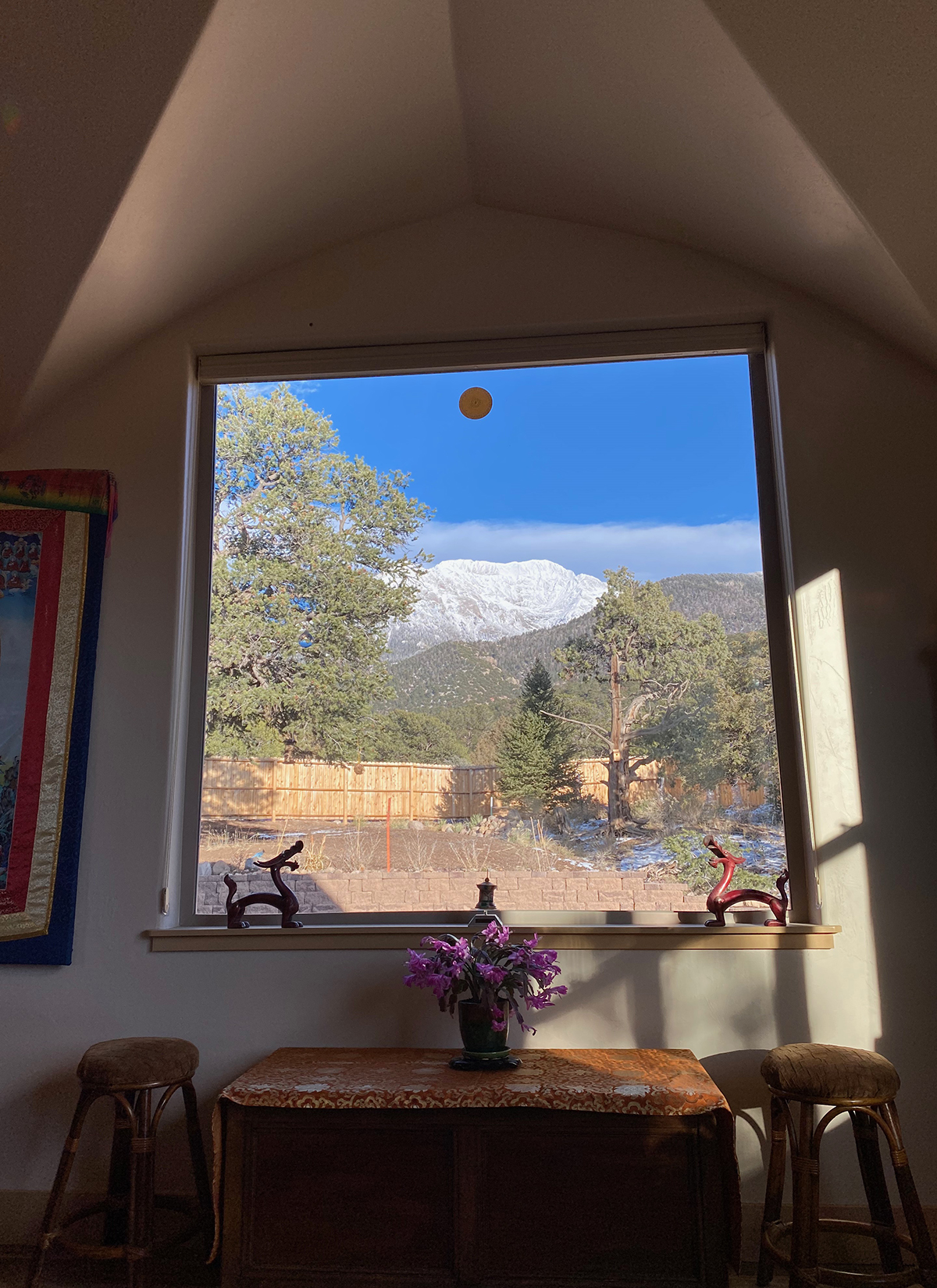interior - livrm window view